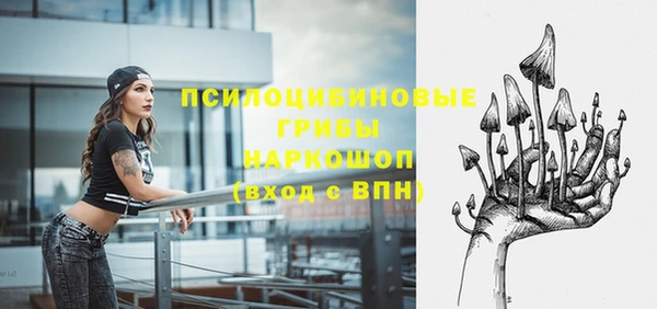 марки nbome Заводоуковск
